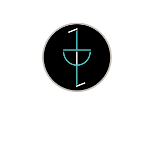 BosonQ